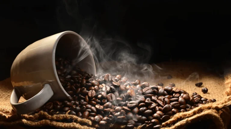 10 Best Coffee Brands to Buy